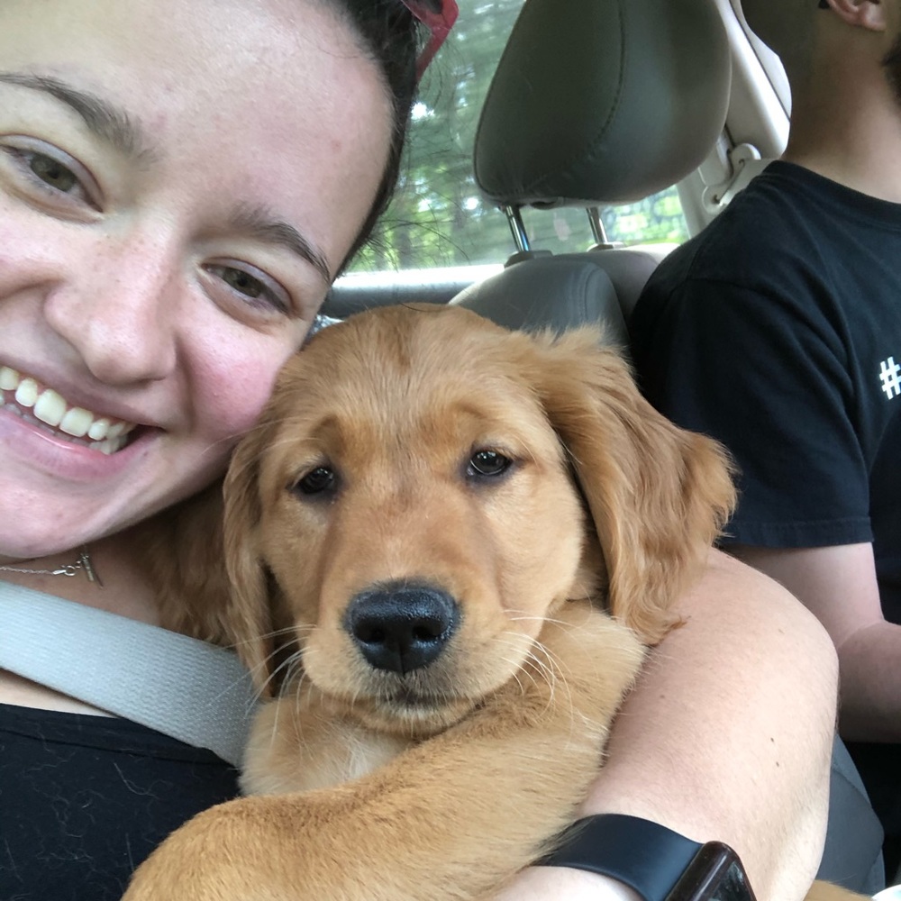 Meet your Posher, Betsy